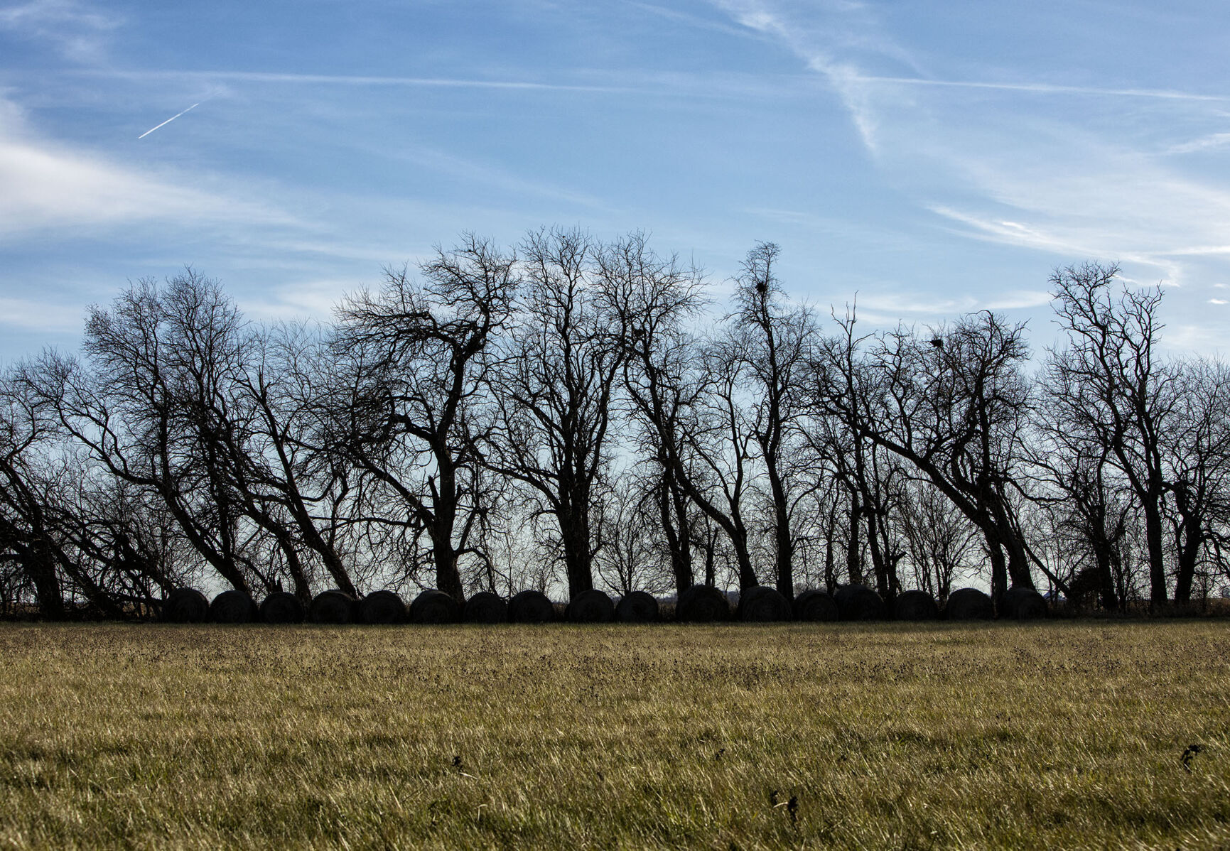 TOWERING FENCE